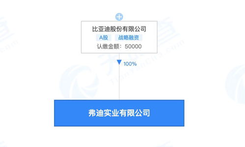 比亞迪成立弗迪實業，深耕人工智能軟件開發新藍海